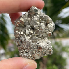 Pyrite #1458