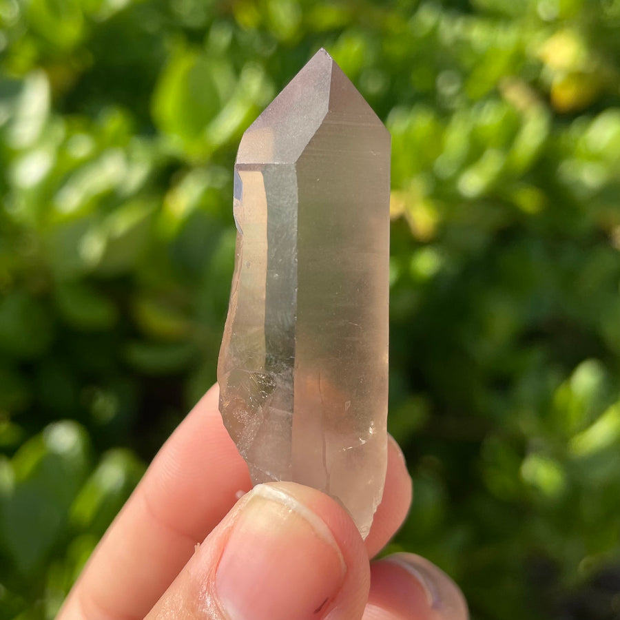 Smoky Lemurian Quartz Crystal #1431