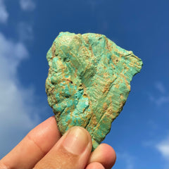 Alacran Turquoise #1142