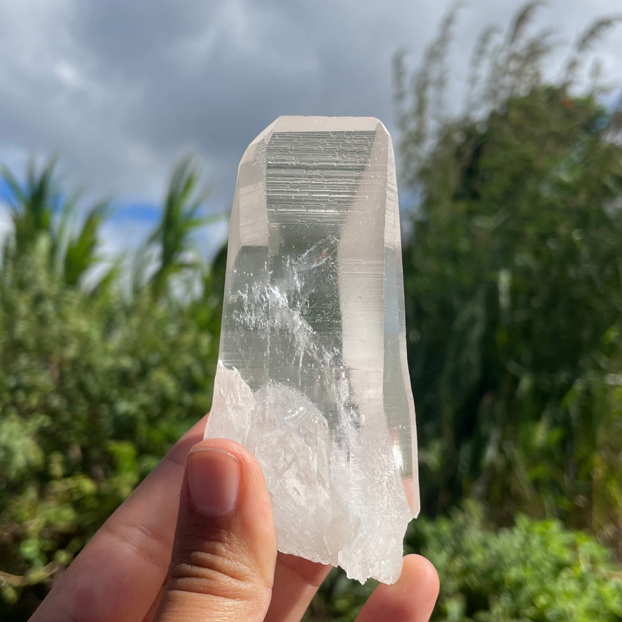 Clear Lemurian Quartz Crystal #1062