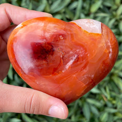 Carnelian #1212