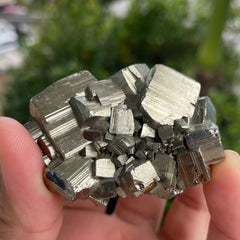 Pyrite #1469
