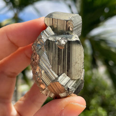 Pyrite #1475