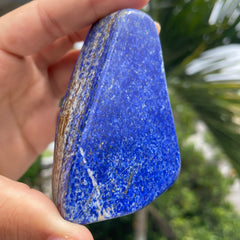Self standing Lapis Lazuli #1441