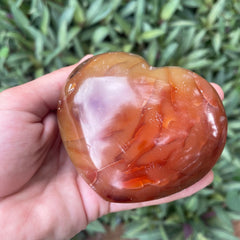 Carnelian #1217