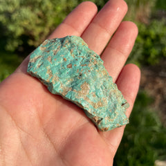 Alacran Turquoise #1148