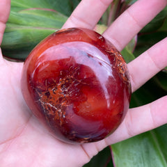 Carnelian #1206