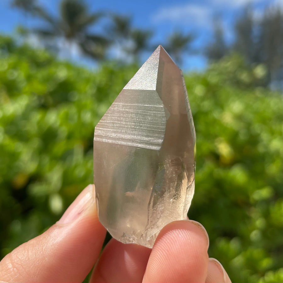 Smoky Lemurian Quartz Crystal #1438