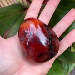 Carnelian #1218