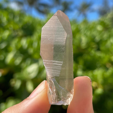Smoky Lemurian Quartz Crystal #1428