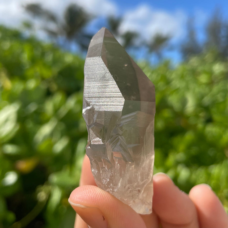 Smoky Lemurian Quartz Crystal #1440