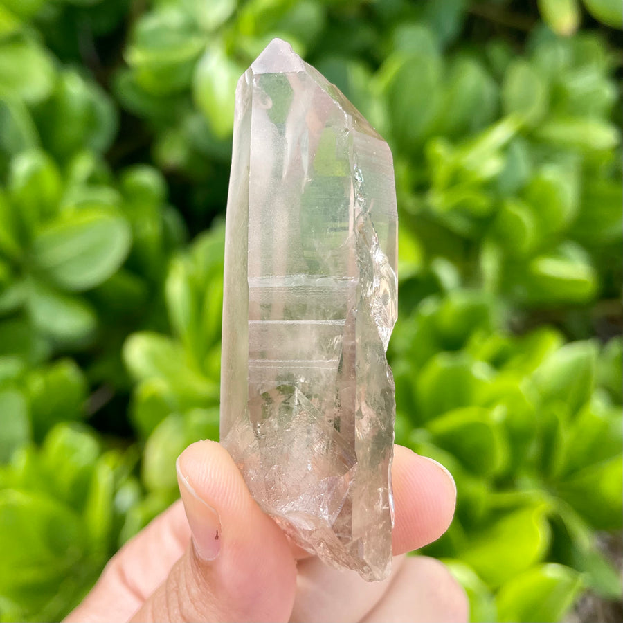 Smoky Lemurian Quartz Crystal #1442