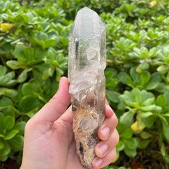 Garden Lemurian Quartz #1106