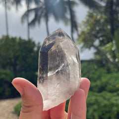 Garden Lemurian Quartz #1124