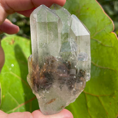 Garden Lemurian Quartz #1104