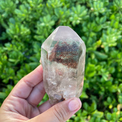 Garden Lemurian Quartz #1098