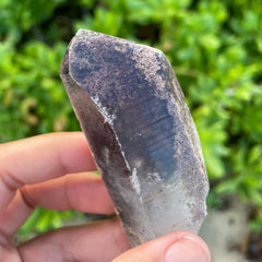 Garden Lemurian Quartz #1099