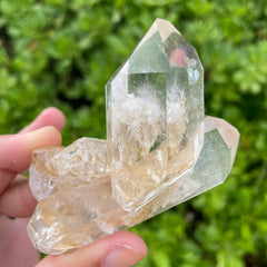 Garden Lemurian Quartz #1097