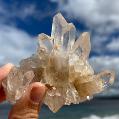 Garden Lemurian Cluster #1096
