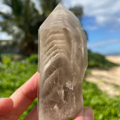 Garden Lemurian Quartz #1107
