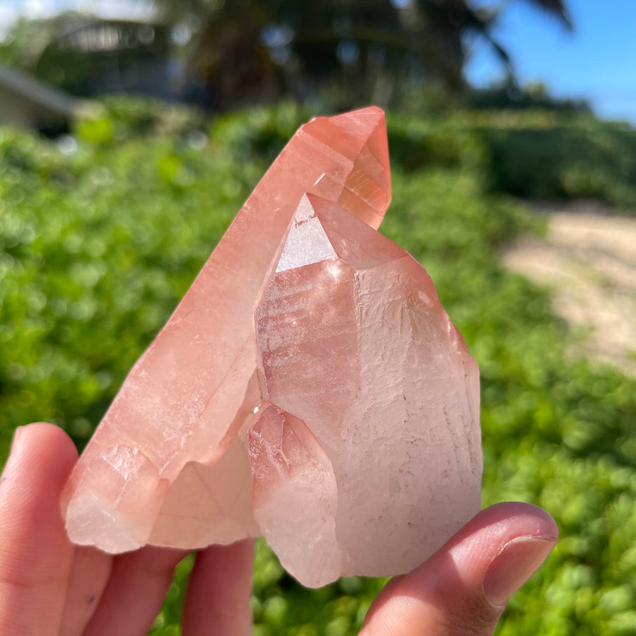Rose Lemurian Quartz Crystal #1092
