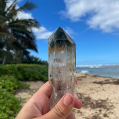 Phantom Lemurian Quartz Crystal #1110