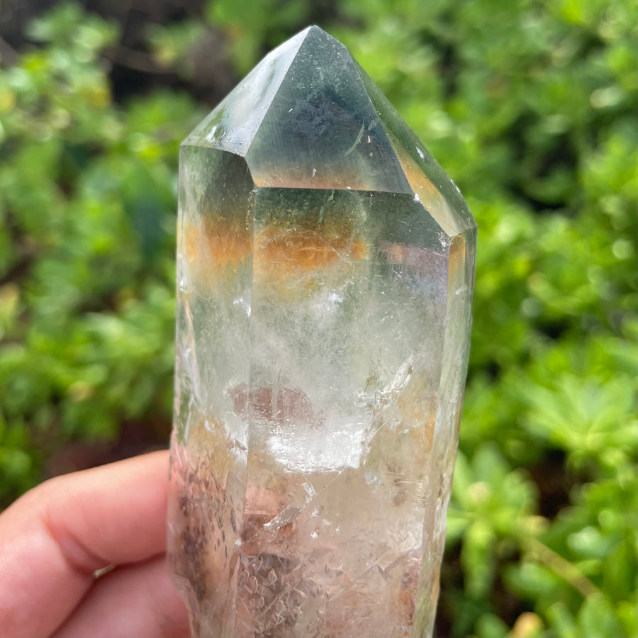 Phantom Lemurian Quartz Crystal #1110