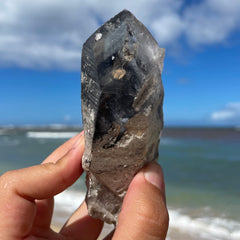 Phantom Lemurian Quartz Crystal #1119
