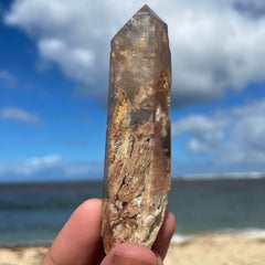 Garden Lemurian Quartz #1105