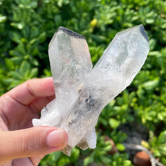 Phantom Lemurian Quartz Crystal #1113