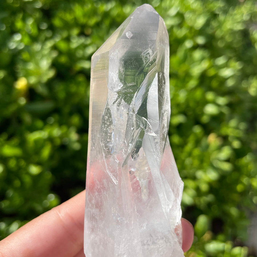 Phantom Lemurian Quartz Crystal #1112