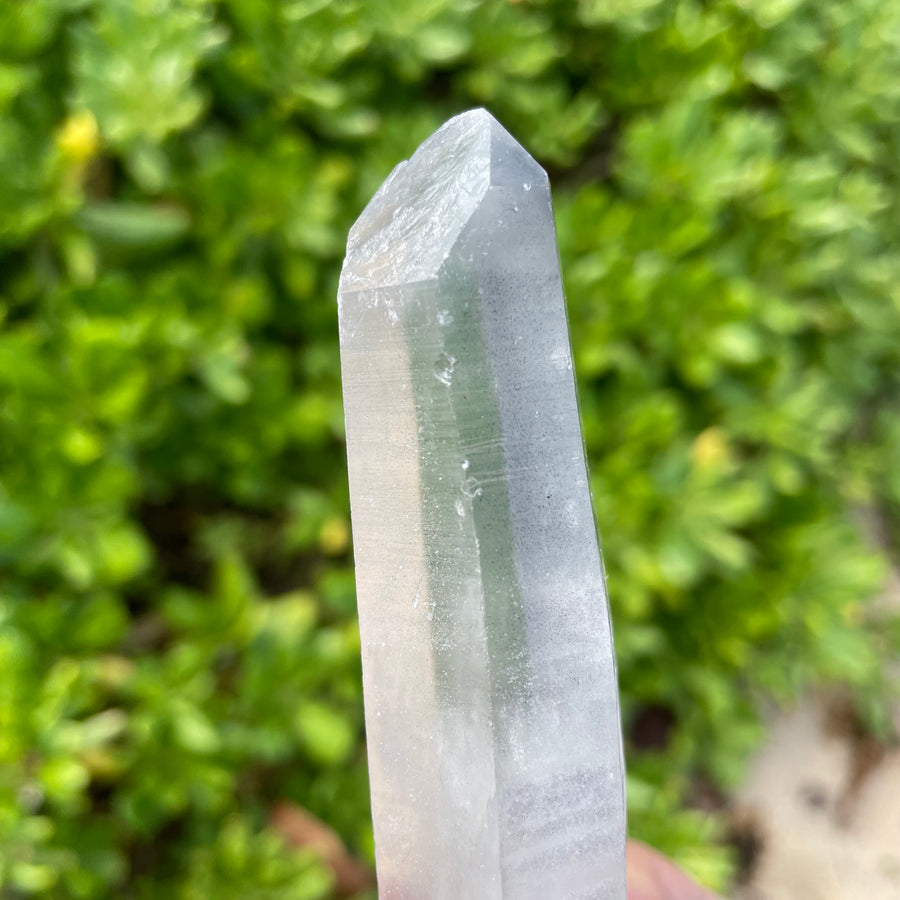 Phantom Lemurian Quartz Crystal #1116