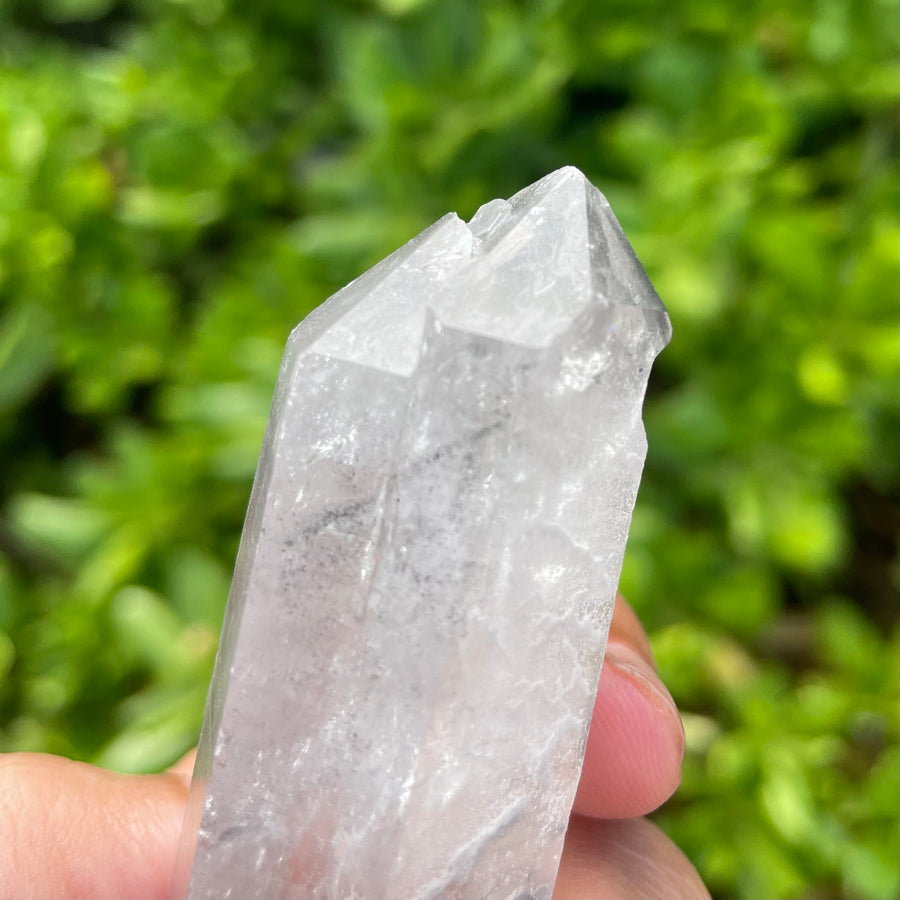 Phantom Lemurian Quartz Crystal #1116