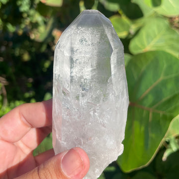 Phantom Lemurian Quartz Crystal #1115