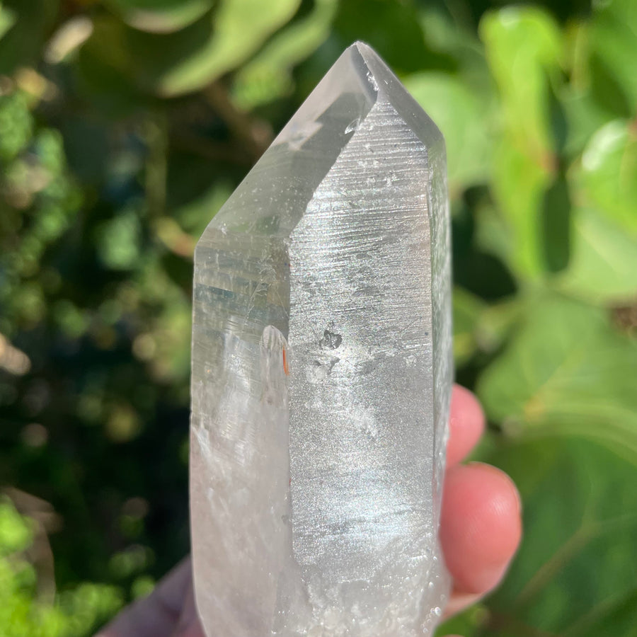 Phantom Lemurian Quartz Crystal #1115