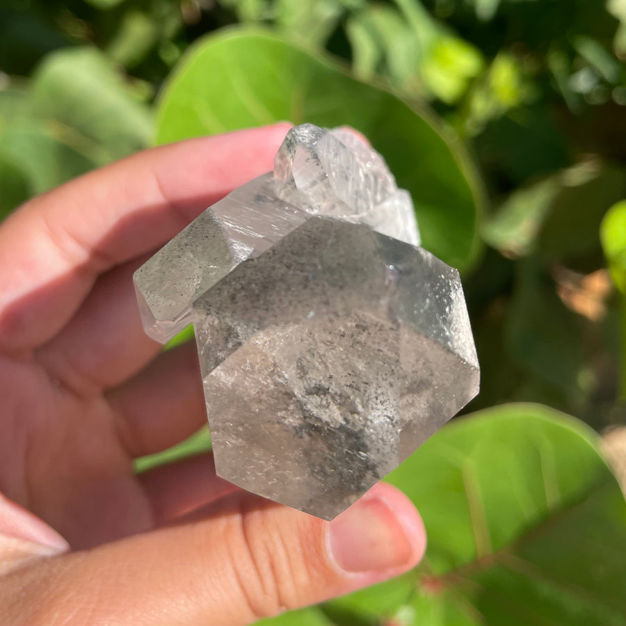 Phantom Lemurian Quartz Crystal #1111