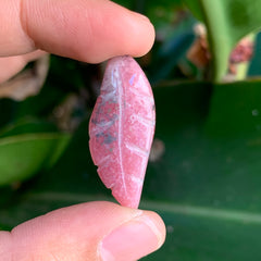 Rhodochrosite Leaf/Feather #35