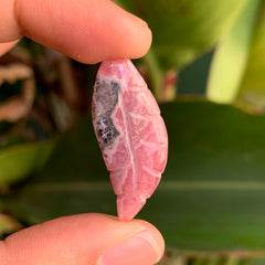 Rhodochrosite Leaf/Feather #37
