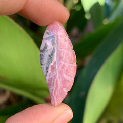 Rhodochrosite Leaf/Feather #38