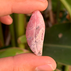 Rhodochrosite Leaf/Feather #39