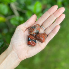3x Brecciated Jasper Tumble Set!
