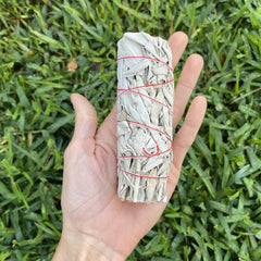 Californian White Sage