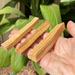 Set of 3 Palo Santo Sticks