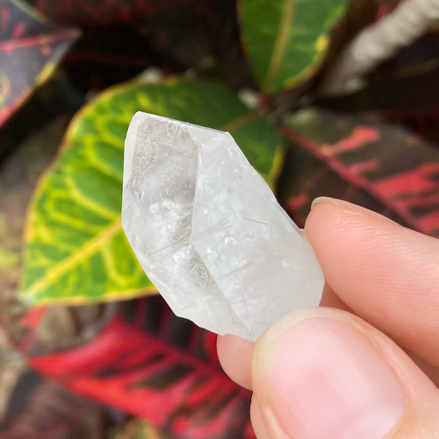 Lemurian Rutile Quartz Crystal #801