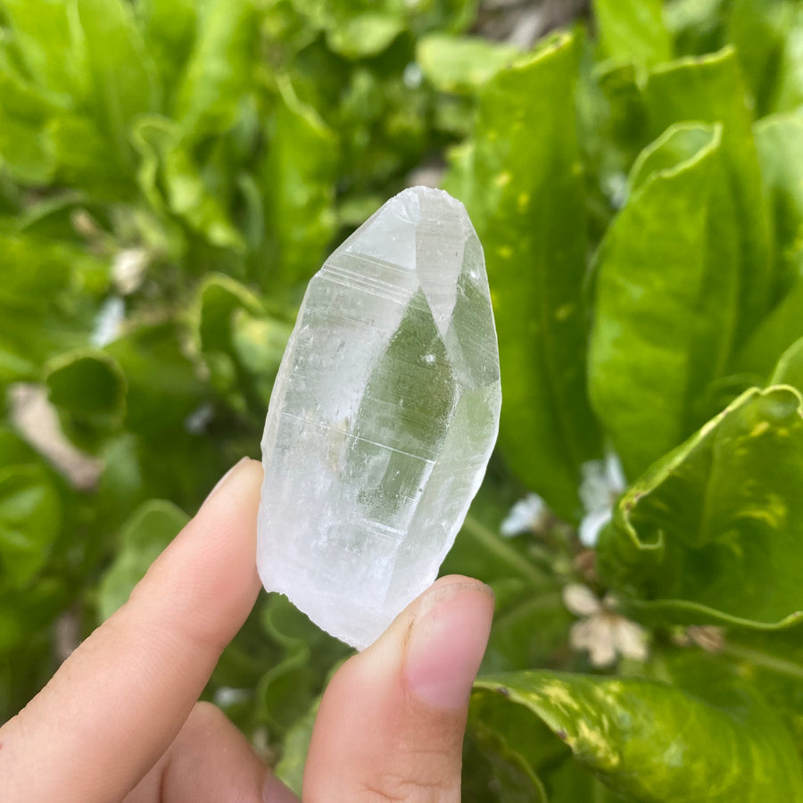 Lemurian Quartz Crystal #402