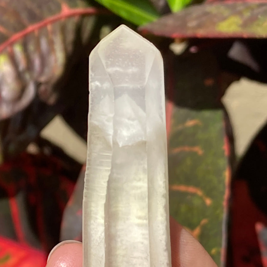 Phantom Lemurian Quartz Crystal #728