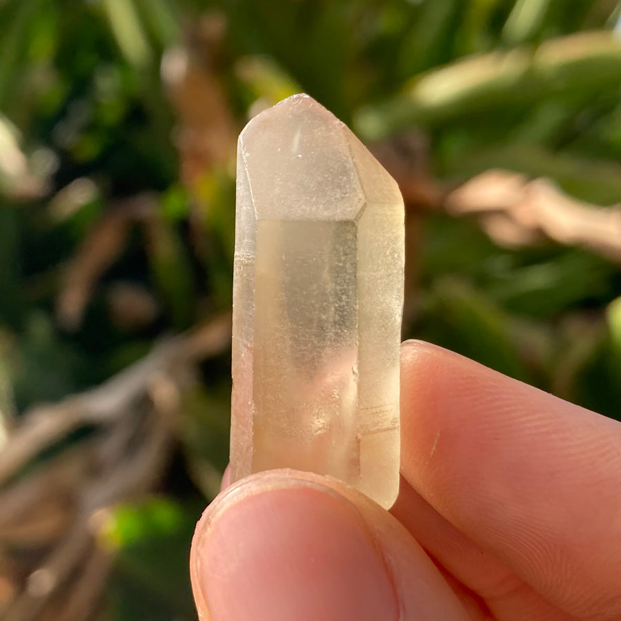✨All-Natural Congo Citrine Point #65
