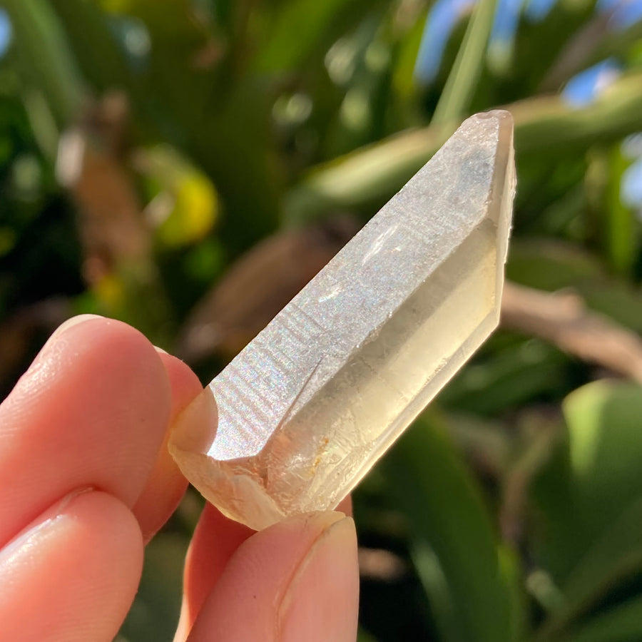 ✨All-Natural Congo Citrine Point #64