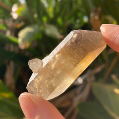 ✨All-Natural Phantom Congo Citrine Point #55