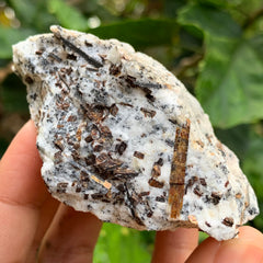 Astrophyllite #37